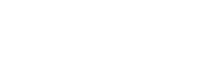 logo SelwynSchool Logo
