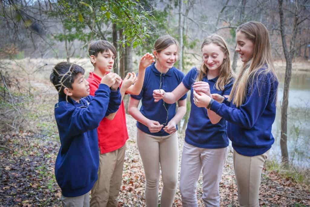 Selwyn's Educational Journey