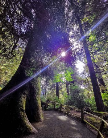 US Perspectives Nature Photography, Shaye Watson